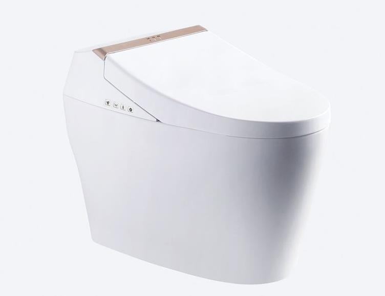 HOAA無水箱智能馬桶智能一體機坐便器YC258G